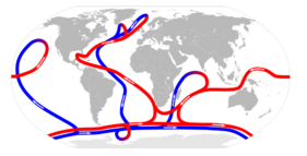 A map of the planet shows the direction of thermohaline circulation in red and blue.