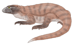 Eldeceeon life restoration.png