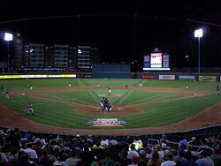 Delta Dental Stadium