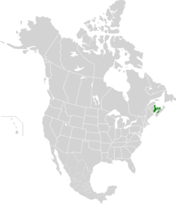 Gulf of St. Lawrence lowland forests map.svg