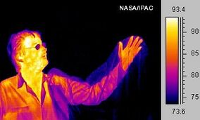 Photo of a person in the infrared spectrum, shifted to the visible
