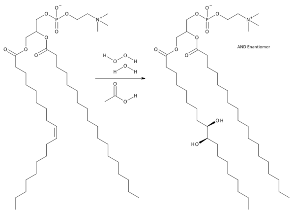 Hydroxylated Lecithin Synthesis.png