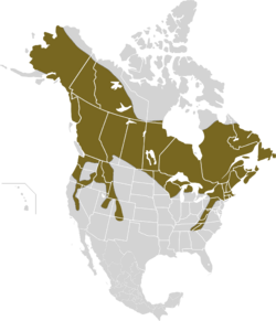 Lepus americanus map.svg