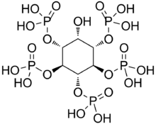 Myo-Inositol 1,3,4,5,6-pentakisphosphate.png