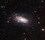 NGC 3621.jpg