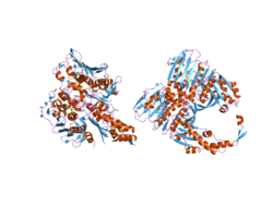 PDB 1zxn EBI.png