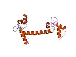 PDB 4cln EBI.jpg