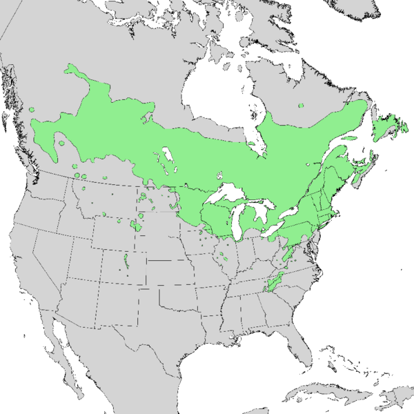 File:Prunus pensylvanica range map 1.png