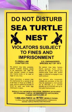 Sea turtle nest sign (Boca raton, FL).jpg