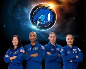 SpaceX Crew-1 Commercial Crew Portrait.jpg