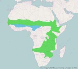 Afrika-Verbreitungsgebiet-Lamprotornis chalybaeus.png