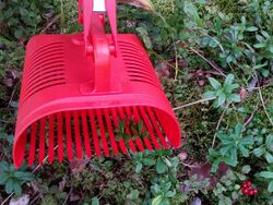 Berry-picking rake.jpg