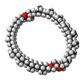 Space-filling model of the caldarchaeol molecule