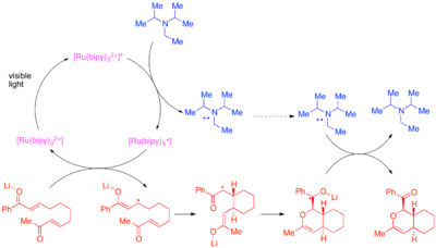 Diagram of Photocatalytic bis-enone hetero-Diels–Alder reaction