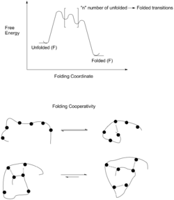 Folding energy diagram.png