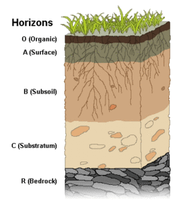 Diagram of soil horizons