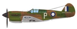 Kittyhawk IA RAAF.jpg