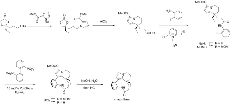 Rhazinilam – Trauner synthesis