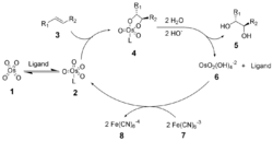 Sharpless Dihydroxylation Mechanism.png