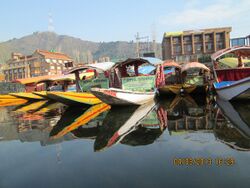 Shikaras of Dal Lake.JPG