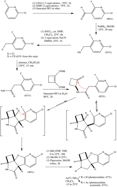 A Synthesis of phantasmidine starting from readily available 2-chloro-6-fluoropyridine.
