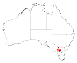 Acacia stictophyllaDistMap854.png