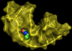 Aptamer biotin.png