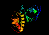 Image of the gamma subunit in caffeine dehydrogenase