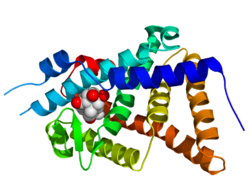 EcdysoneReceptor.pdb.png