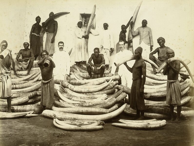 File:Ivory 1880s.jpg