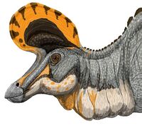 Lambeosaurus magnicristatus DB.jpg