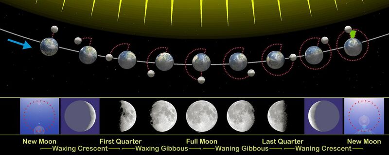 File:Moon phases en.jpg