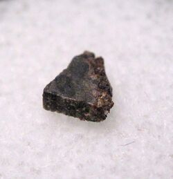 NWA 1195, martian meteorite.jpg