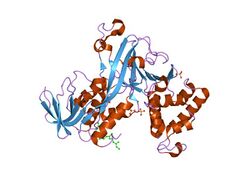 PDB 1lv0 EBI.jpg