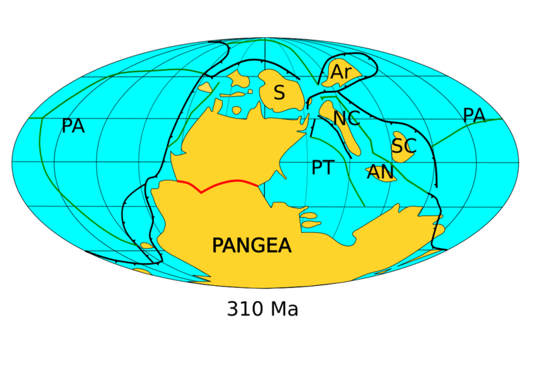 File:Pangea assembly 310.png
