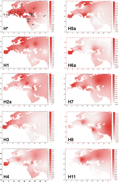 File:Spatial frequency distribution of different sub-lineages of mtDNA haplogroup H.png