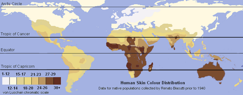File:Unlabeled Renatto Luschan Skin color map.png