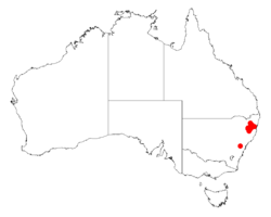 Acacia ingramiiDistMap464.png