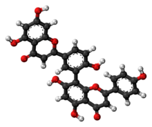 Ball-and-stick model of amentoflavone