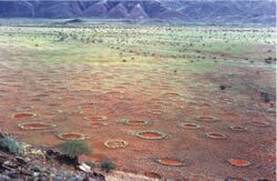 Fairy circles namibia.jpg
