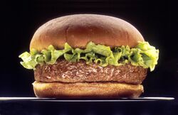 Hamburger (black bg).jpg
