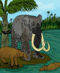 Mammuthus africanavus.JPG