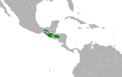 Melanotis hypoleucus map.svg