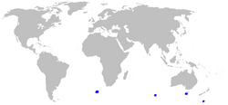 Scymnodalatias albicauda distmap.png