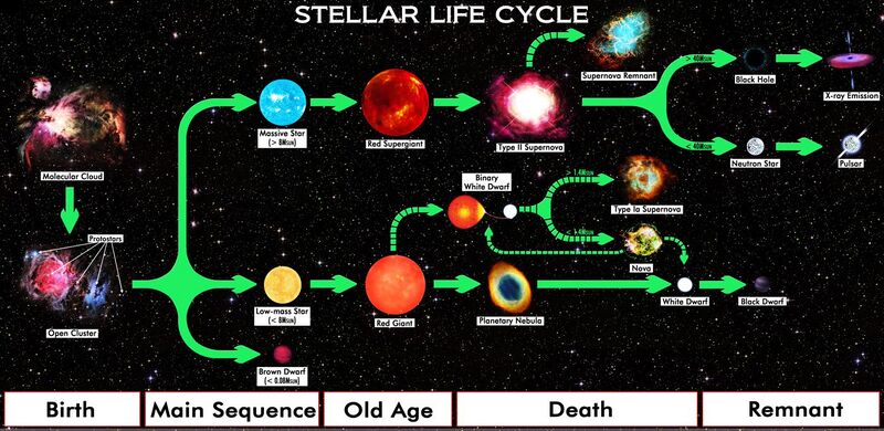 File:Star Life Cycle Chart.jpg