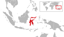 Sulawesi Locator.svg