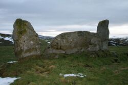 Whitebrow stone circle viewed from the sou'west - geograph.org.uk - 1709042.jpg