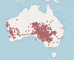 A. holocarpa range, Atlas of Living Australia.png
