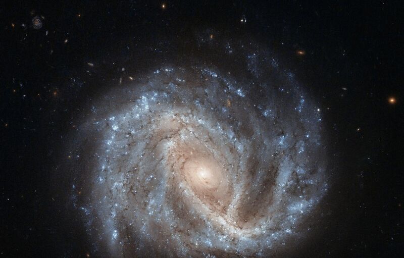 File:A curious supernova in NGC 2441.jpg