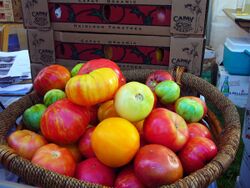Assorted tomatoes, orange, yellow, green, and red, in basket